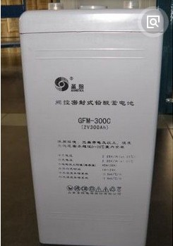 圣阳蓄电池GFM-300C|上门安装