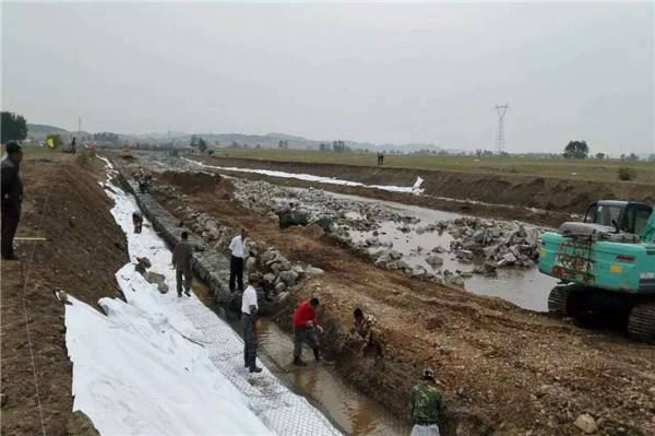 重庆中石河域治理护脚铅丝笼 堤坝防护镀锌铅丝笼8*10厂家