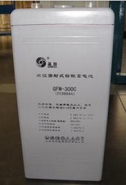 圣阳GFM-100C电力**电池性能价格
