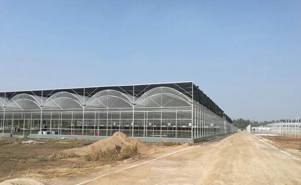 江西抚州薄膜玻璃结合的连栋温室大棚工程建设实体厂家