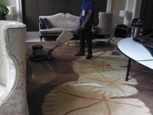 蒙城地毯清洗服务 欢迎咨询