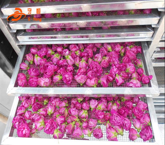 甘肃玫瑰花烘干机 小型节能玫瑰花干燥机设备