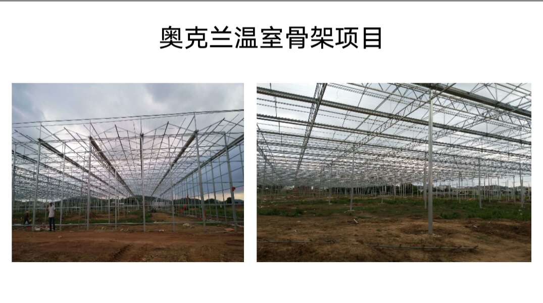 中国山东青州温室大棚实体厂家向哈萨克斯坦做出口业务的加工商