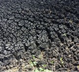 东莞松山湖表面处理污泥处理处置佳成环保