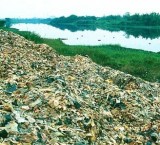 东莞常平污泥处理处置佳成环保