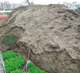 东莞莞城污泥处理处置佳成环保