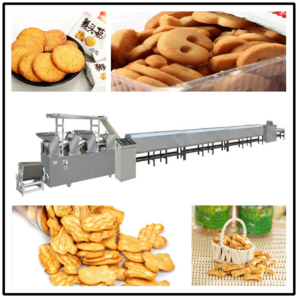 新型饼干加工机器可定制 提供基础配方 全自动小型饼干生产设备