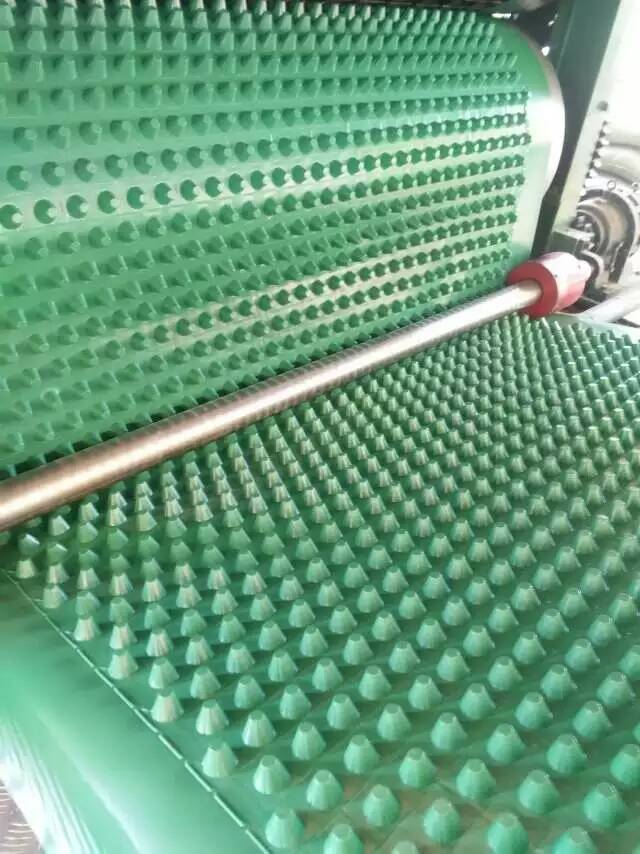 济宁塑料排水板曲阜2公分塑料排水板批发