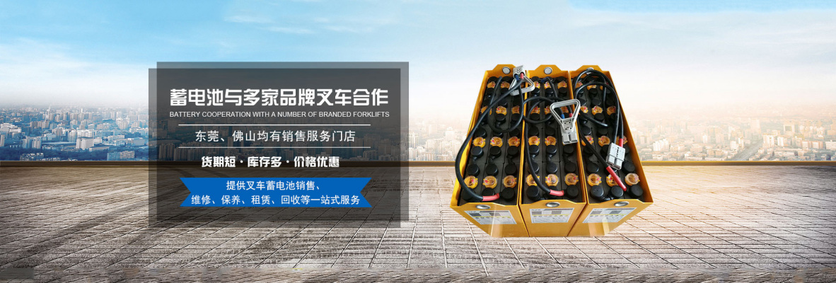 生产公司 海珠电动叉车电瓶批发价 顺泽轩动力