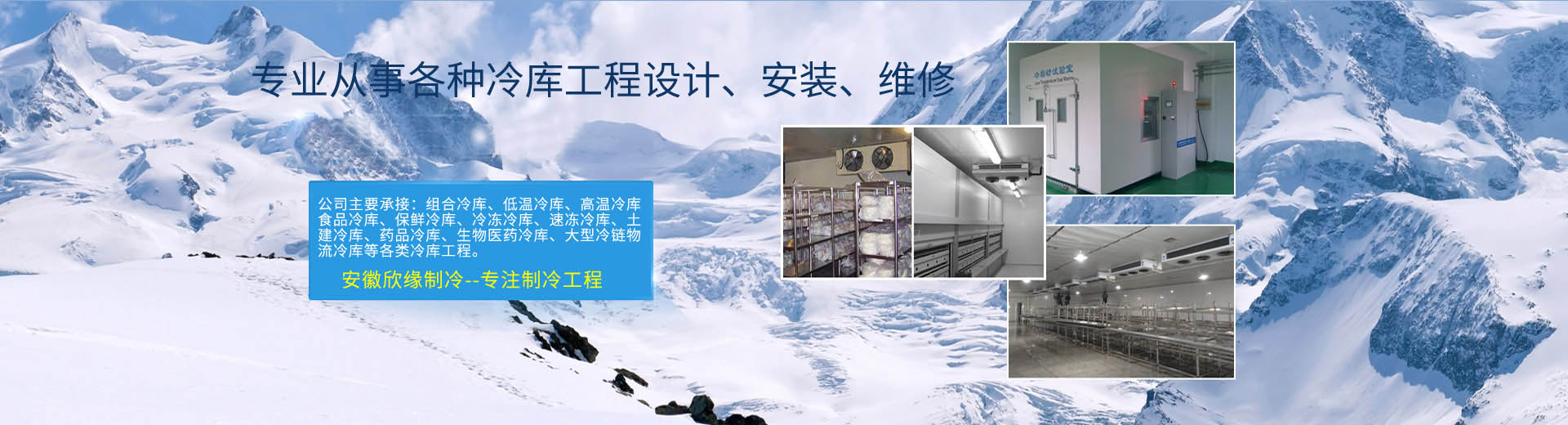 回收冷冻干燥机公司 常年回收 鑫泰