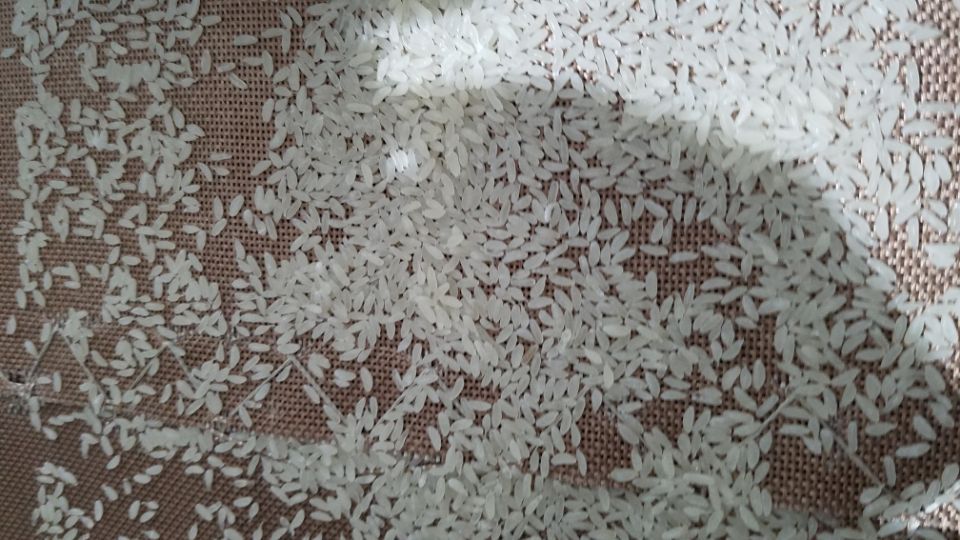 膳食纤维大米生产线双螺杆熟化营养米设备