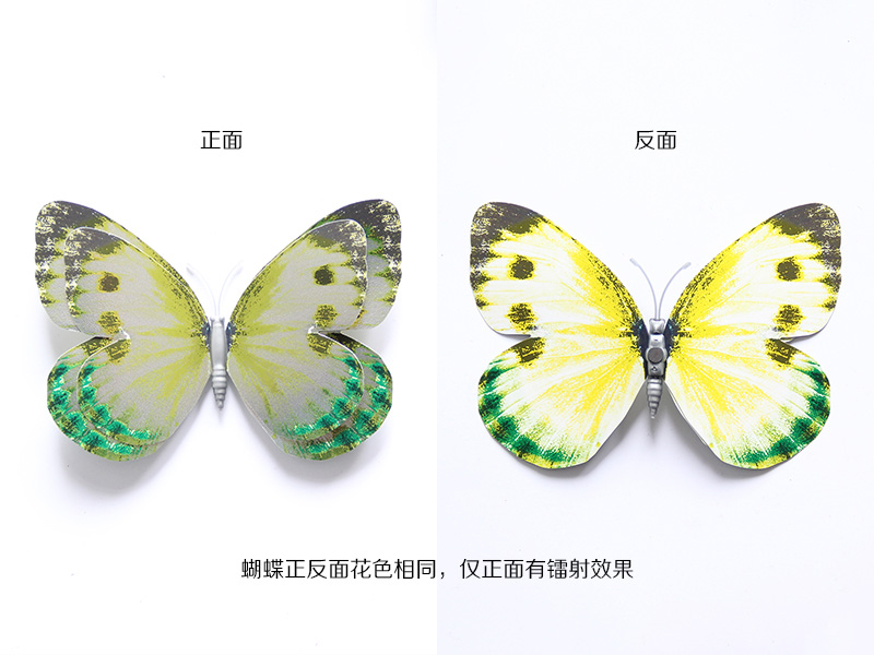 专业的银色双层蝴蝶套装提供商—温州金蝴蝶工艺品|仿真蝴蝶高端大气