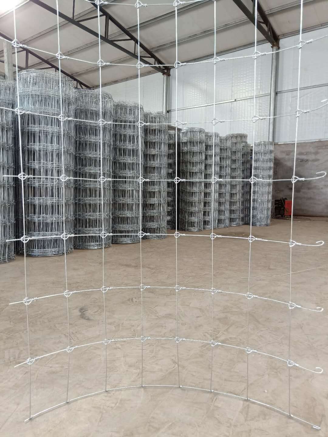 内蒙古鹿网生产厂家，养牛铁丝网围栏