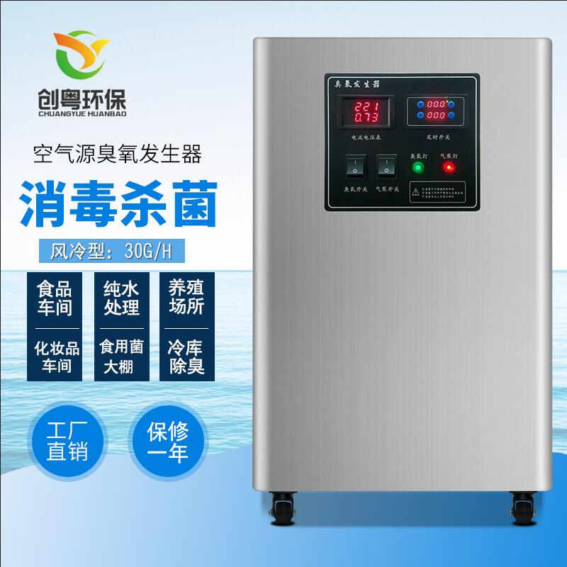 广州创粤30g纯净水处理臭氧发生器泳池桶装水臭氧消毒机