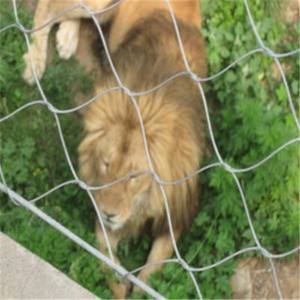 宁夏动物园**不锈钢狮子笼舍围栏网
