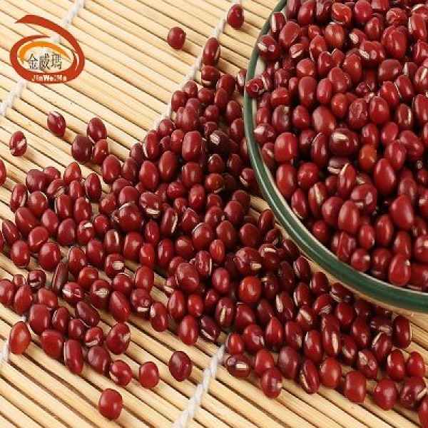 广东珍珠中红豆