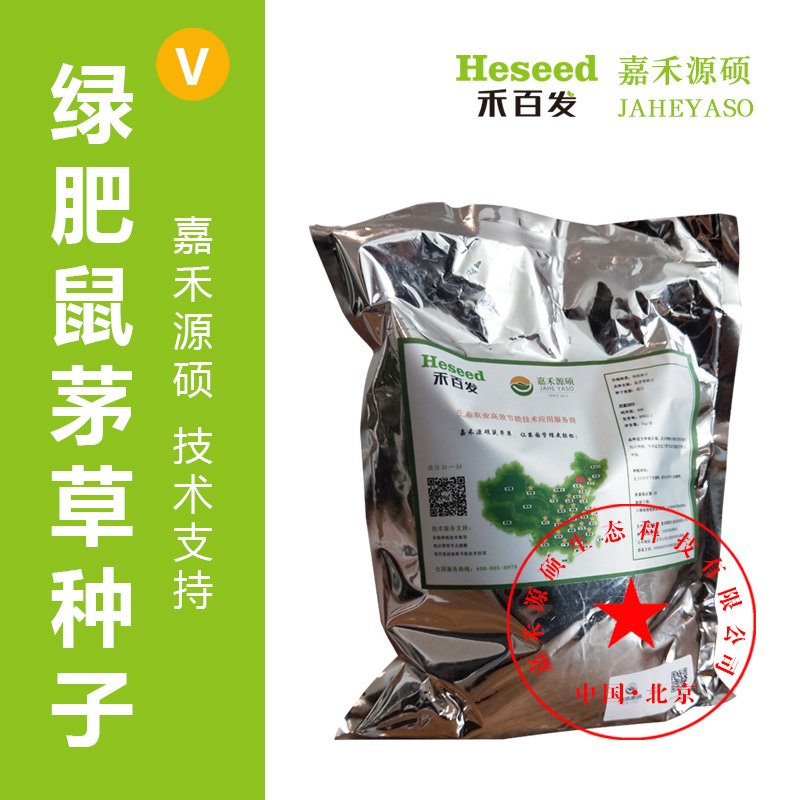 鼠茅草种植技术丨绿肥种子丨鼠茅草丨北京嘉禾源硕