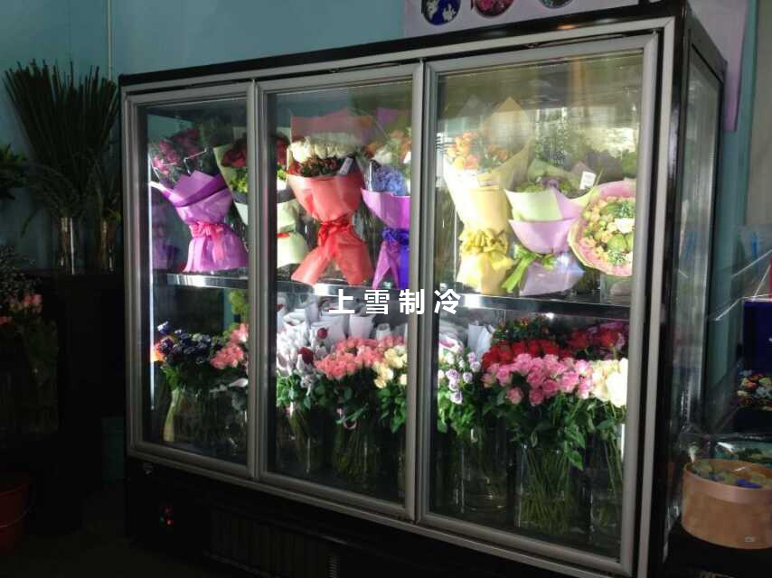 新款鲜花保鲜柜 花店鲜花柜尺寸颜色可定做