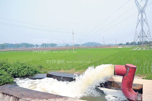 农田灌溉水质