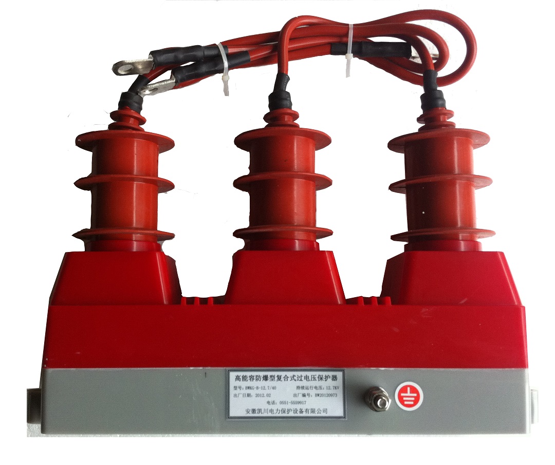 高能容防爆型复合式过电压保护器BWKG