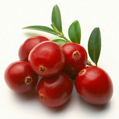 美国进口蔓越莓浓缩清汁现货供应