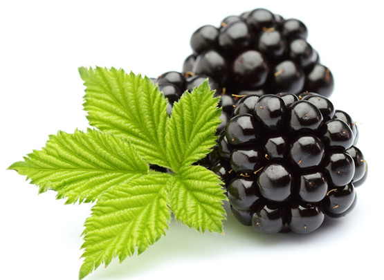 进口黑莓浓缩汁 浓缩黑莓汁 黑莓清汁 黑莓原浆供应