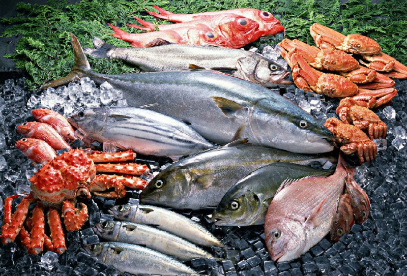 加拿大沙丁鱼进口报关代理公司