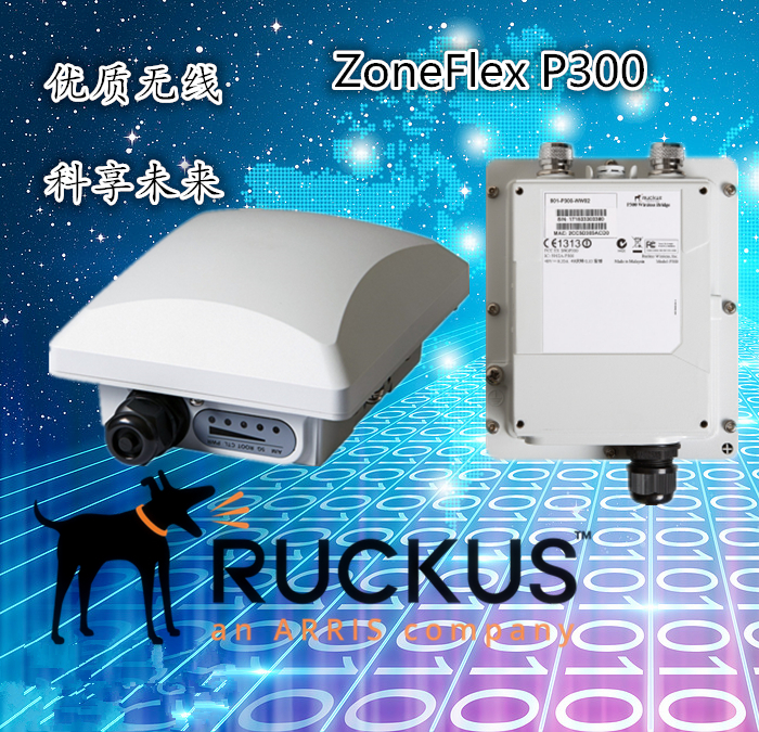 美国Ruckus优科室外无线网桥P300