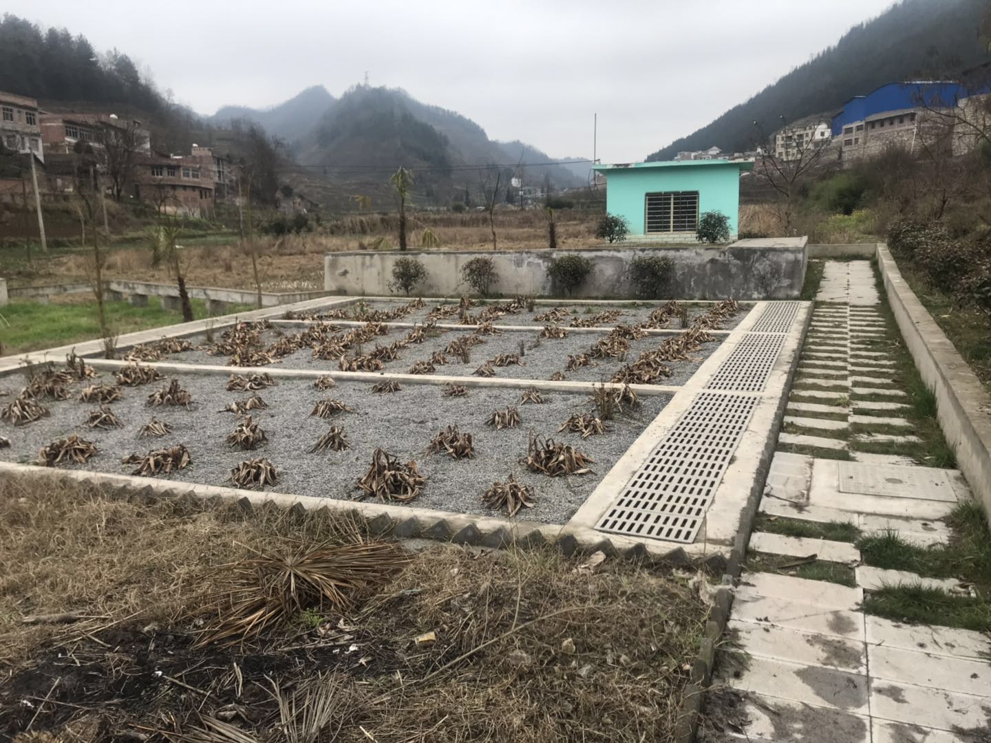黔西南农村生活污水处理设备规格 兴义微动力农村生活污水处理设备工艺