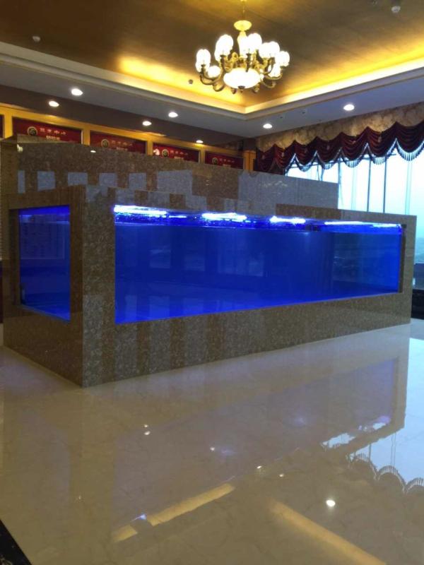 廣州大型亞克力生態魚缸定做 長沙酒店魚缸造景訂做施工 東莞海洋館工程護理廠家