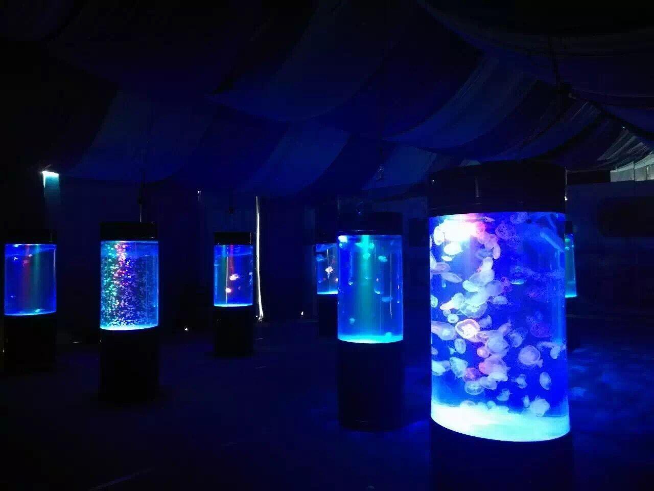 嘉峪关海洋展租赁价格