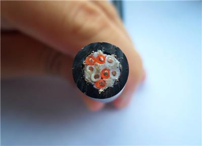 白城RVV22铜芯阻燃软电缆生产厂家 批发价厂家直销