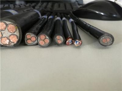 杭州专业定制RVV22铜芯阻燃软电缆生产厂家 批发价