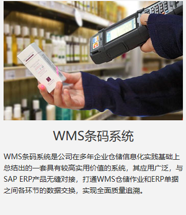 济南SAP医疗器械ERP管理系统 华智WMS条码仓储软件