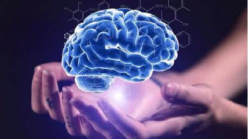 根据多元智能测评如何有效开发大脑神经元