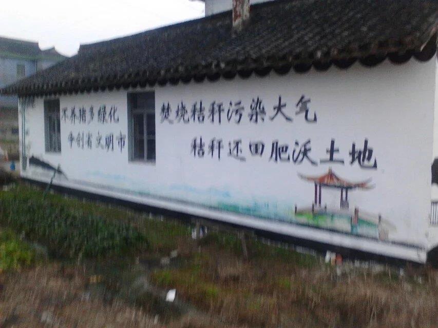 宁波哪家美丽乡村彩绘 墙绘公司