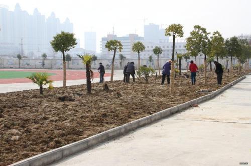 滁州草坛种植土质量检测 欢迎在线咨询