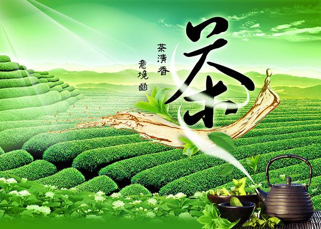 2019*十六届上海国际茶博会茶具展