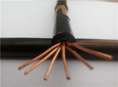 杭州专业定制RVV22铜芯阻燃软电缆生产厂家 批发价