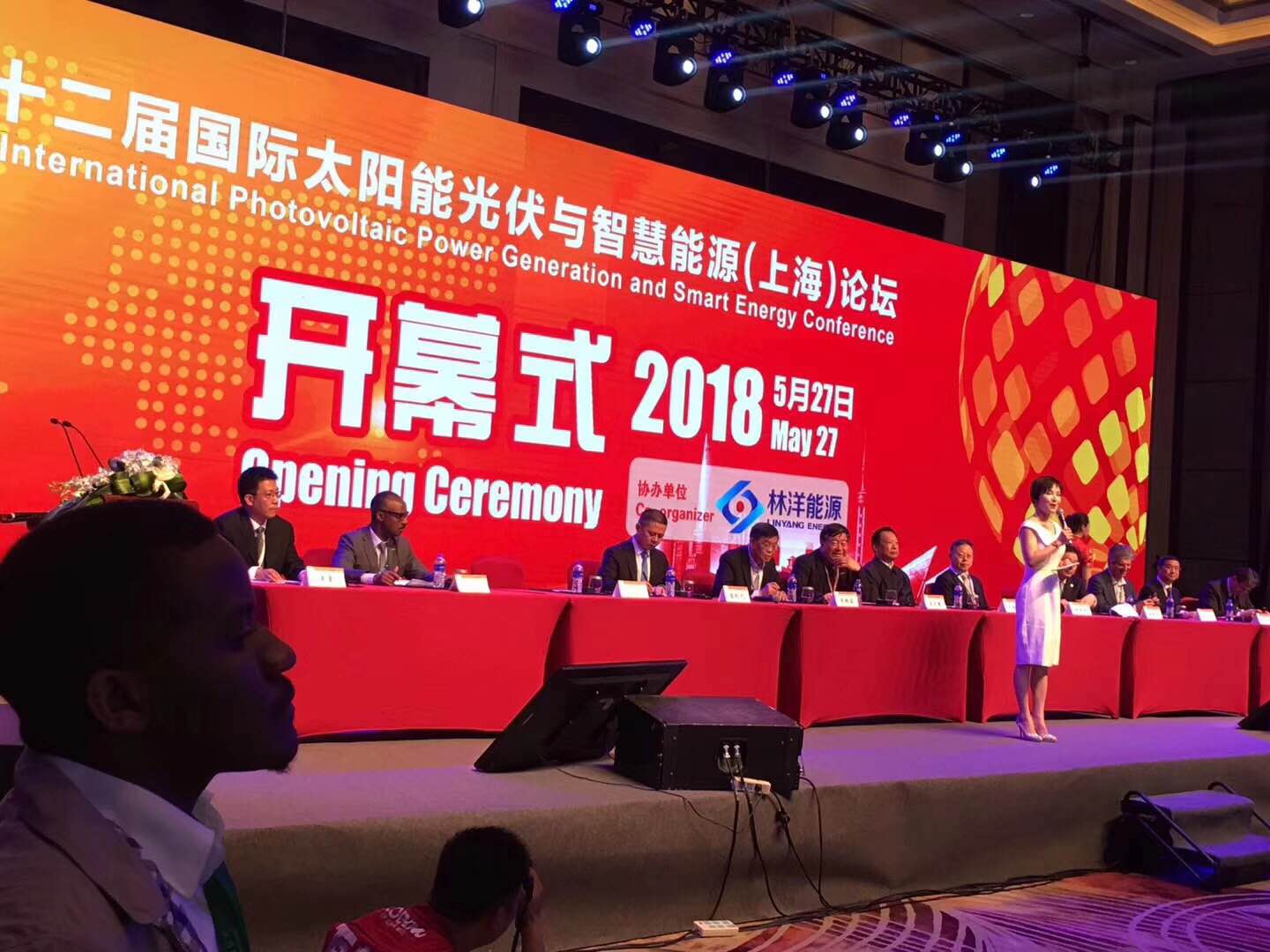 SNEC*十三届2019国际太阳能光伏与智慧能源上海大会