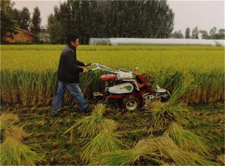 水稻割捆机手推式高效率收割设备