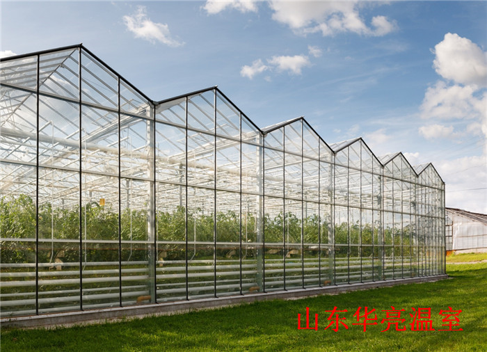 智能玻璃温室——山东温室大棚报价——玻璃连栋温室