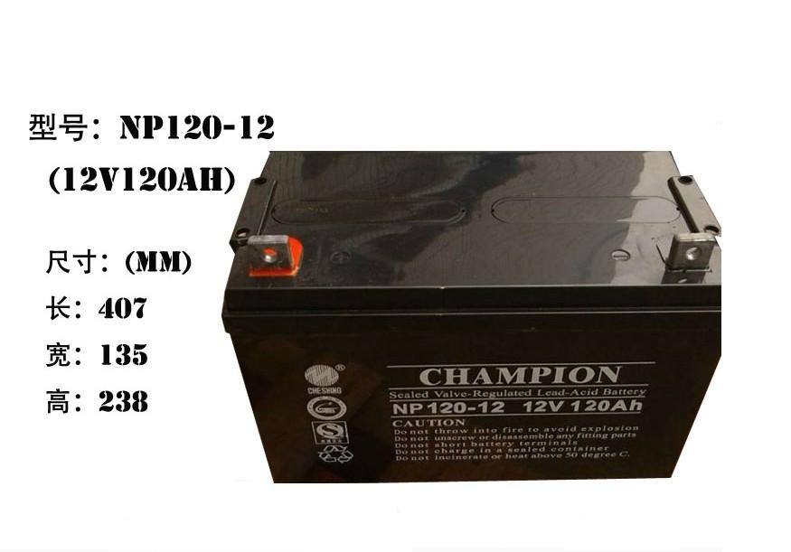 冠军蓄电池NP80-12 12V80AH铅酸蓄电池
