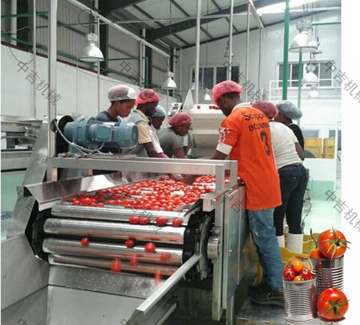 番茄罐头生产设备|全套番茄罐头设备