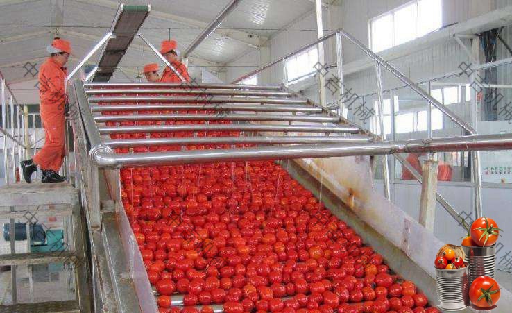 全套小番茄罐头生产线设备
