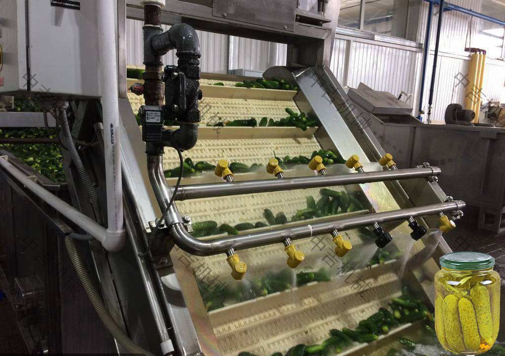 3吨/小时黄瓜罐头生产线设备工艺流程和配置