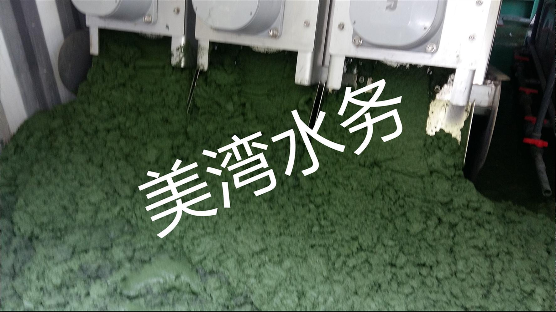 深圳专业黑臭水体治理技术加工