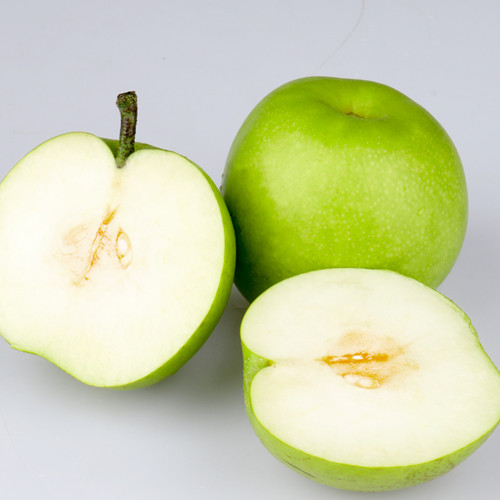 苹果梨苗供应苹果梨种植基地
