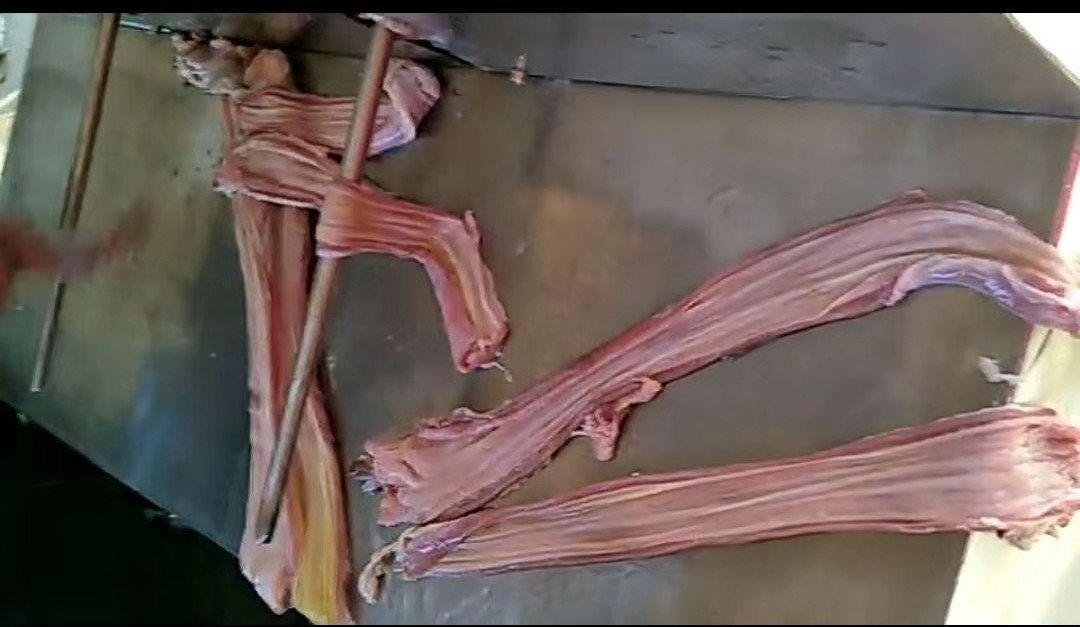 鲜猪食管剖开机器 有剖肠机器