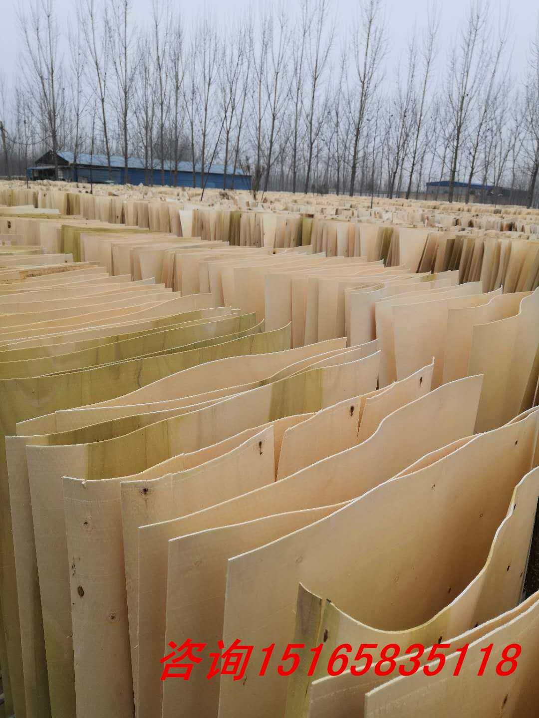 天津北京卖胶合板天津多层板价格天津建筑模板质量好